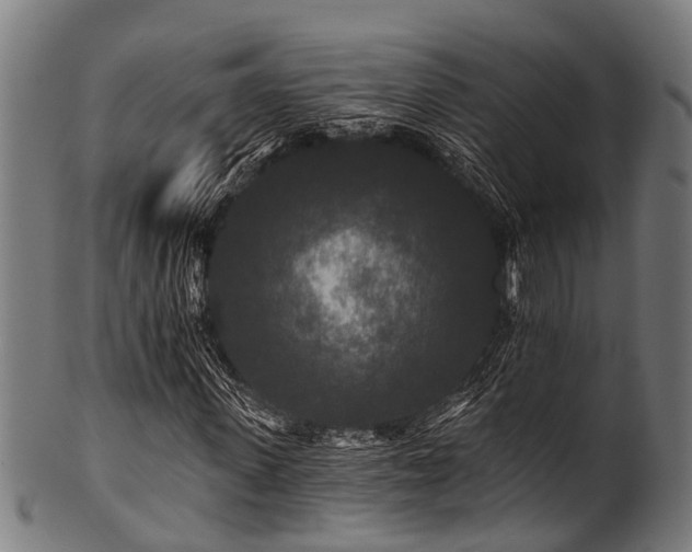 X0000100970915200806241547