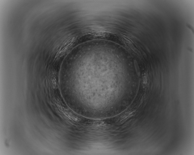 X0000100970916200806241547