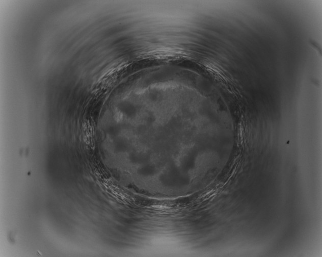 X0000100970917200806241547