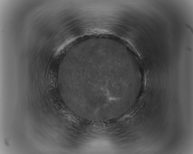 X0000100970919200806241547