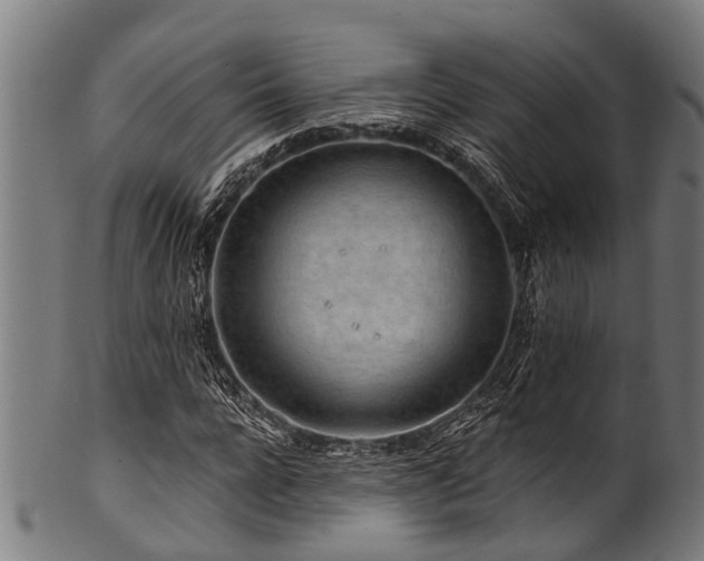 X0000100970920200806241547