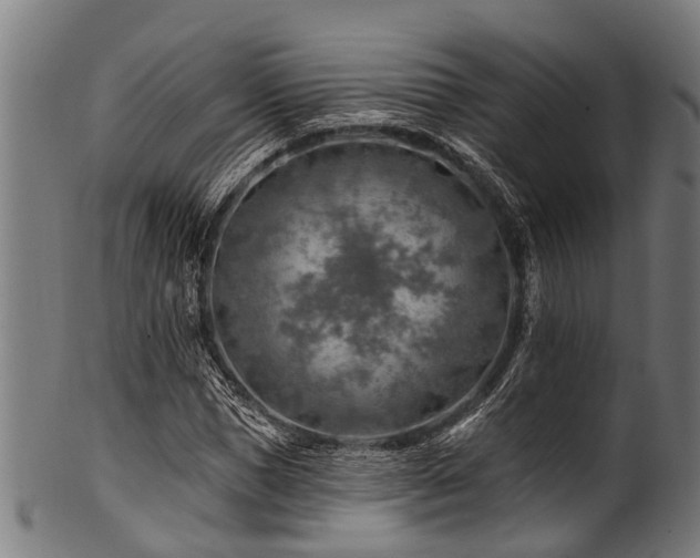 X0000100970921200806241547