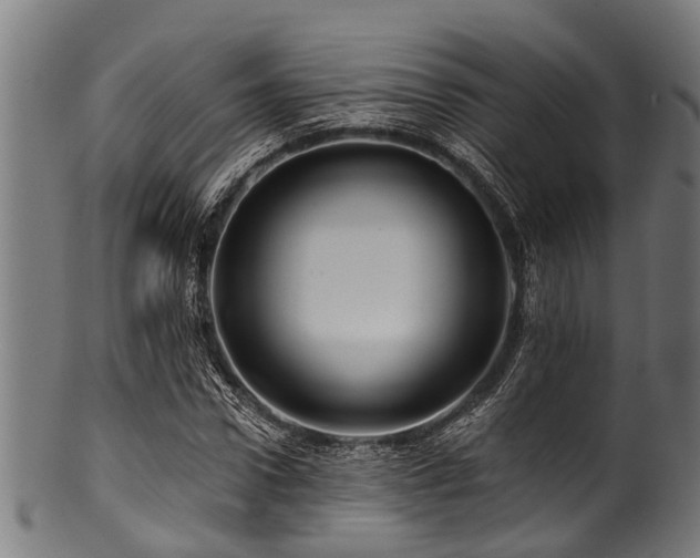 X0000100970922200806241547