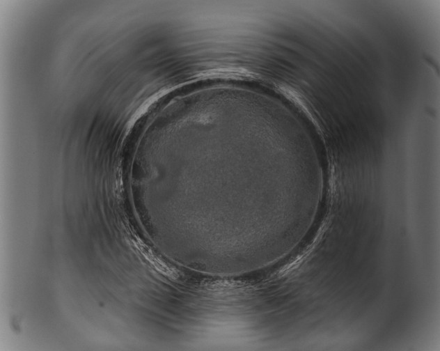 X0000100970923200806241547