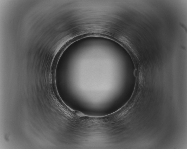 X0000100970924200806241547