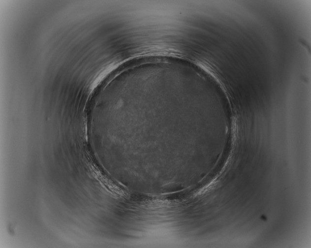 X0000100970925200806241547