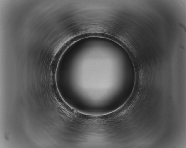 X0000100970926200806241547