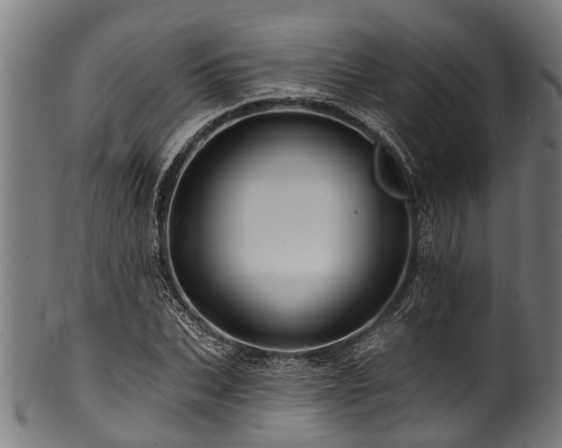 X0000100970927200806241547