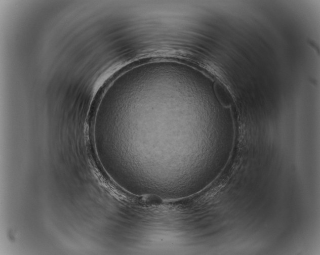 X0000100970928200806241547