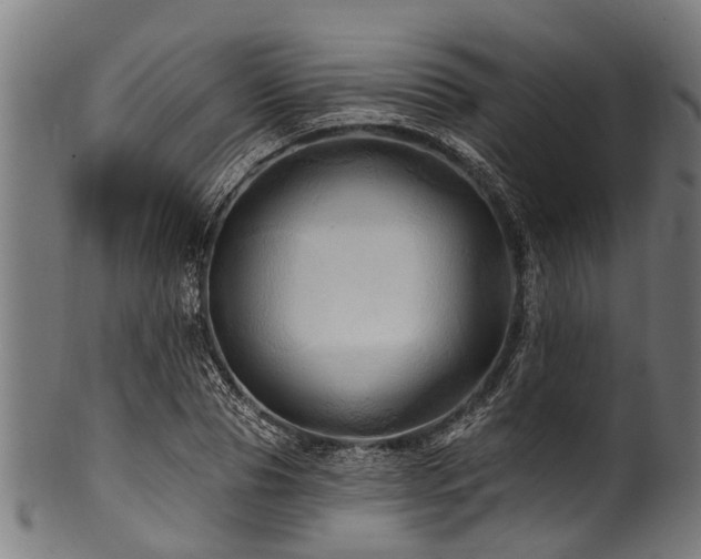 X0000100970929200806241547