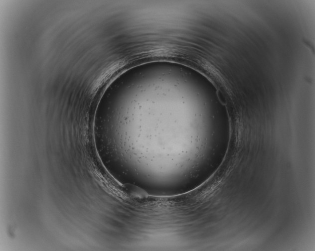 X0000100970930200806241547