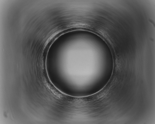 X0000100970931200806241547