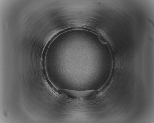 X0000100970932200806241547