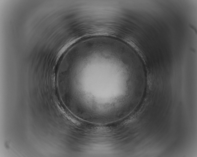 X0000100970933200806241548