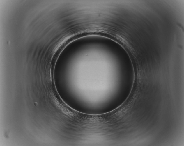 X0000100970934200806241548