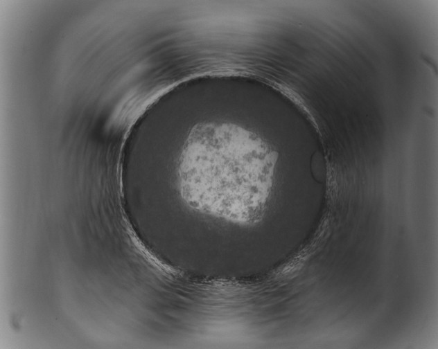 X0000100970935200806241548