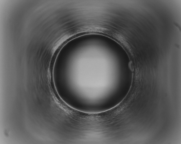 X0000100970936200806241548