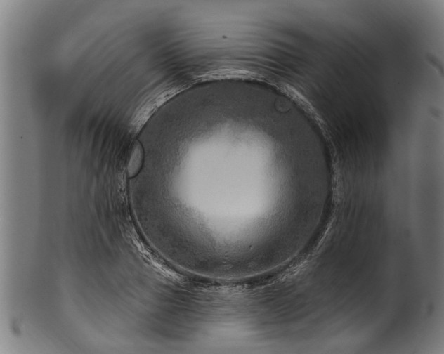 X0000100970937200806241548