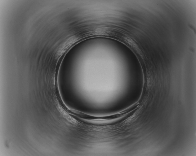 X0000100970938200806241548