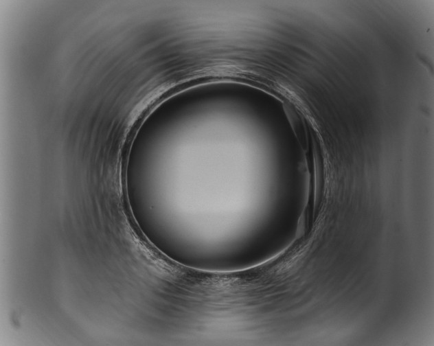 X0000100970939200806241548