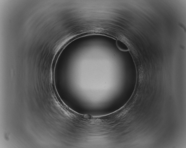 X0000100970940200806241548