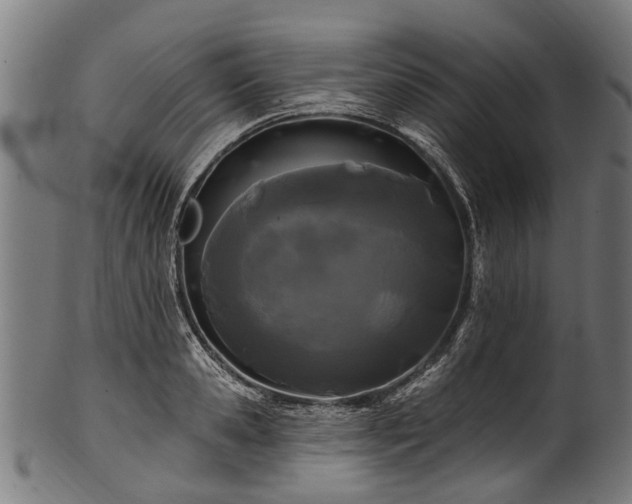 X0000100970941200806241548