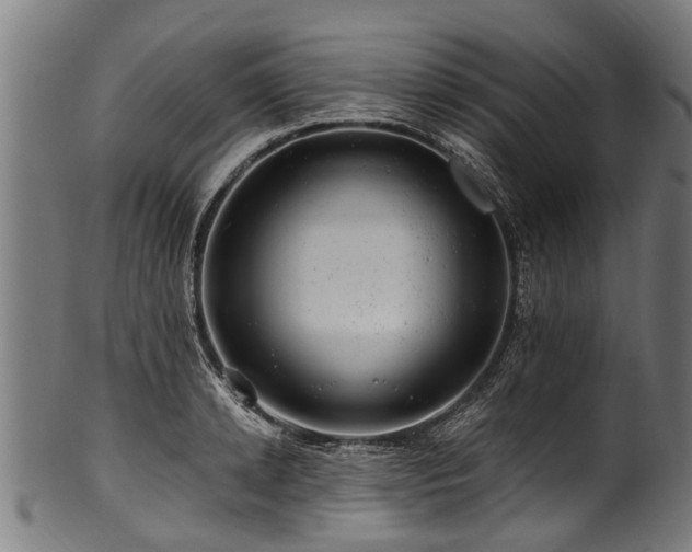 X0000100970942200806241548