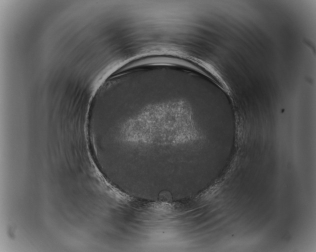 X0000100970943200806241548