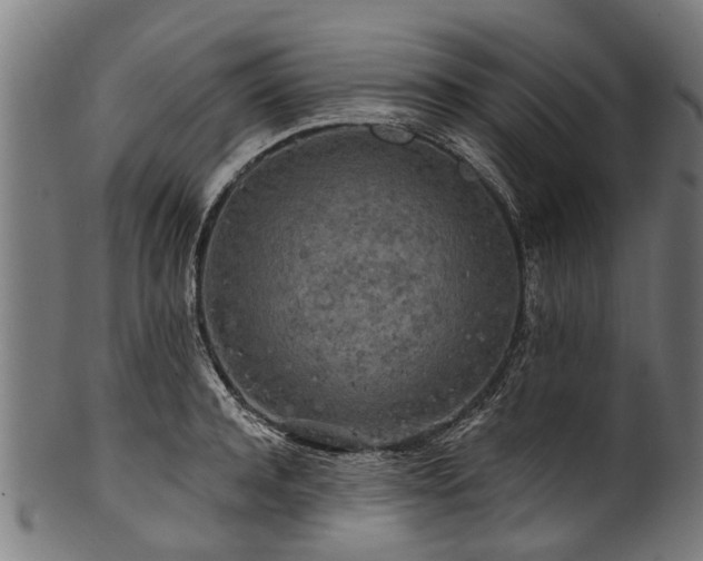 X0000100970944200806241548