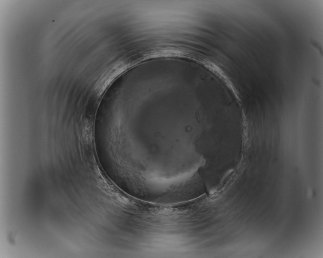 X0000100970945200806241548