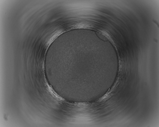 X0000100970946200806241548