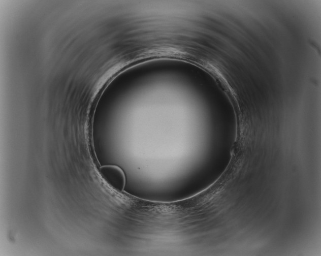 X0000100970947200806241548