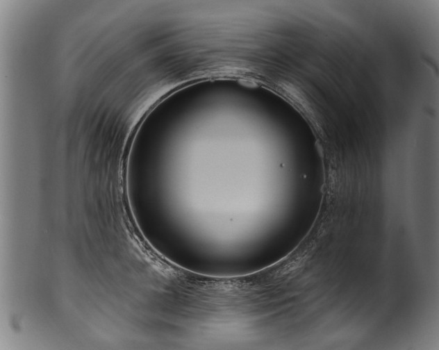 X0000100970948200806241548