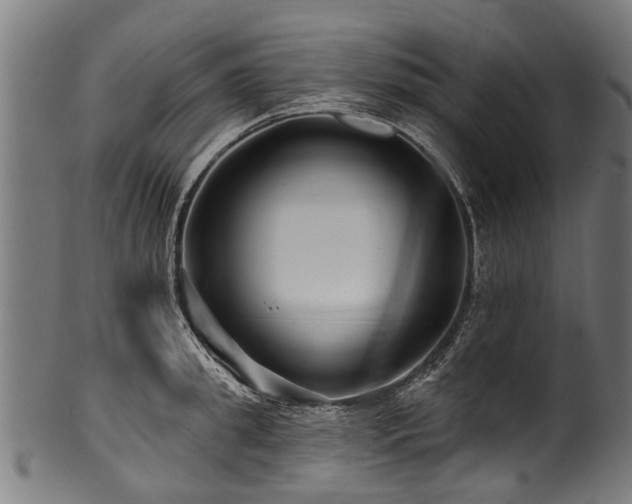 X0000100970949200806241548