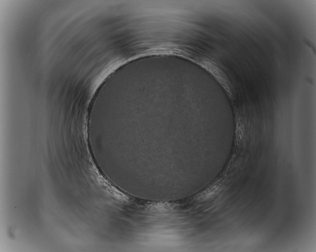 X0000100970950200806241548