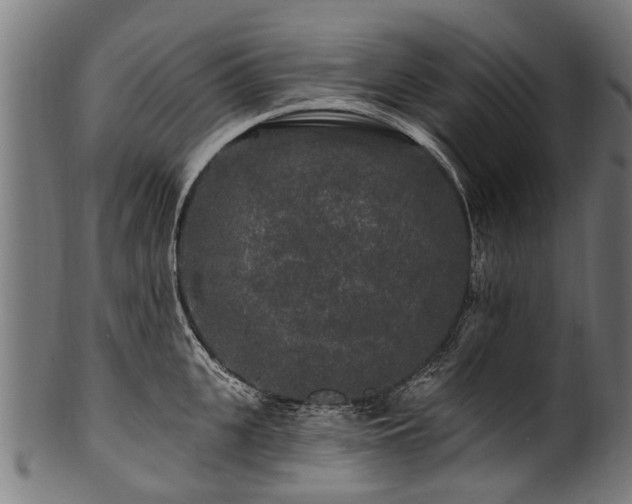 X0000100970951200806241548