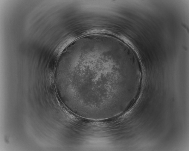 X0000100970953200806241548