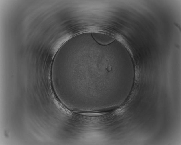 X0000100970954200806241548