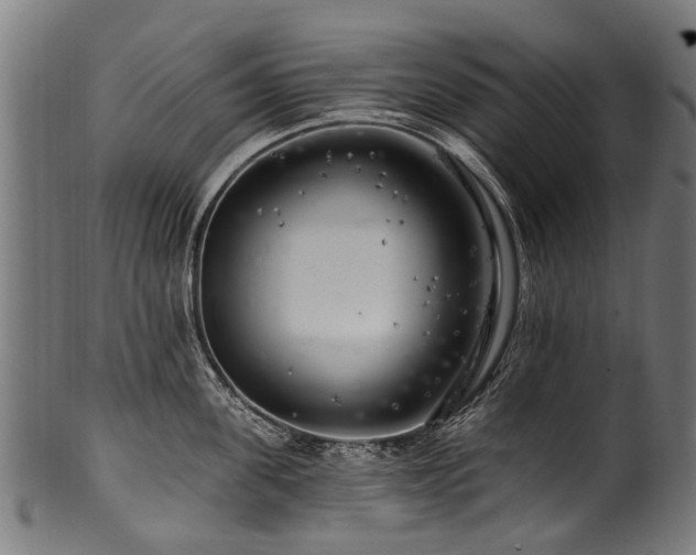 X0000100970955200806241548