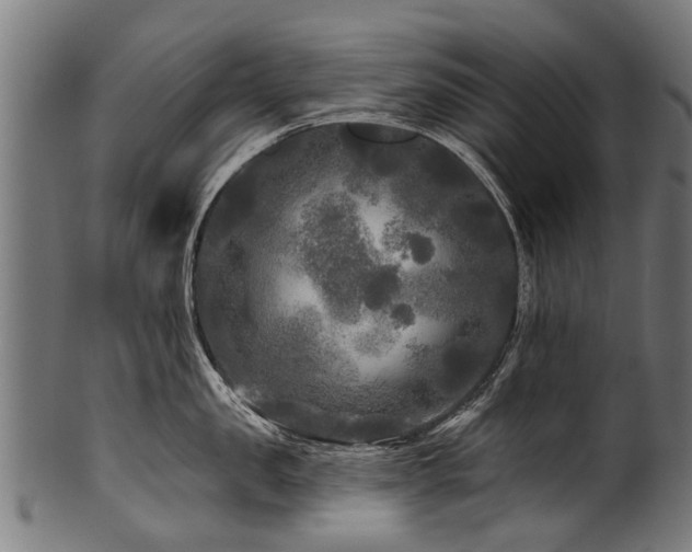 X0000100970957200806241548