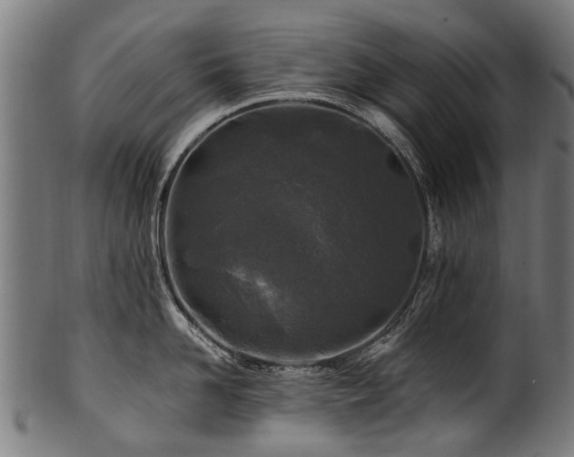 X0000100970958200806241548