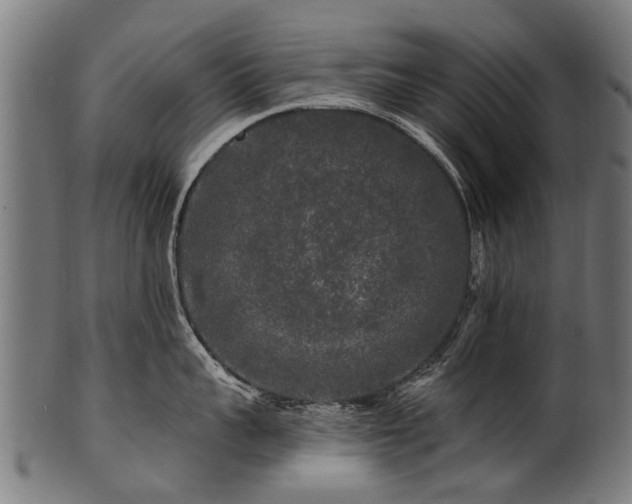 X0000100970959200806241548