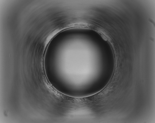 X0000100970960200806241548