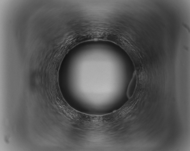 X0000100970961200806241547