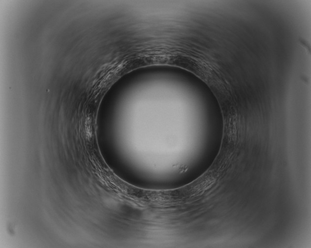 X0000100970962200806241547