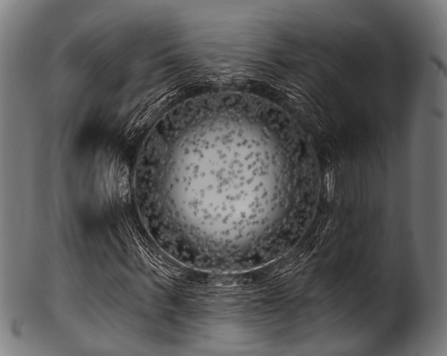 X0000100970963200806241547