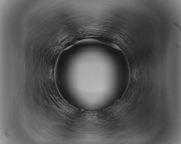 X0000100970964200806241547