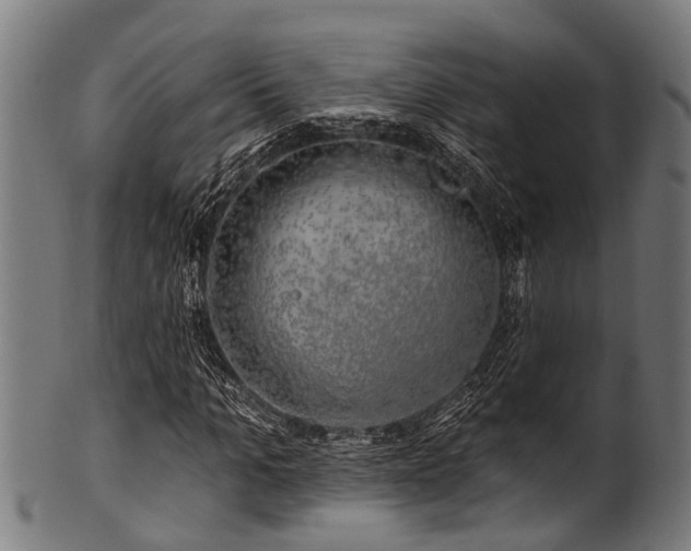 X0000100970965200806241547