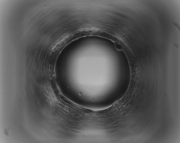 X0000100970967200806241547