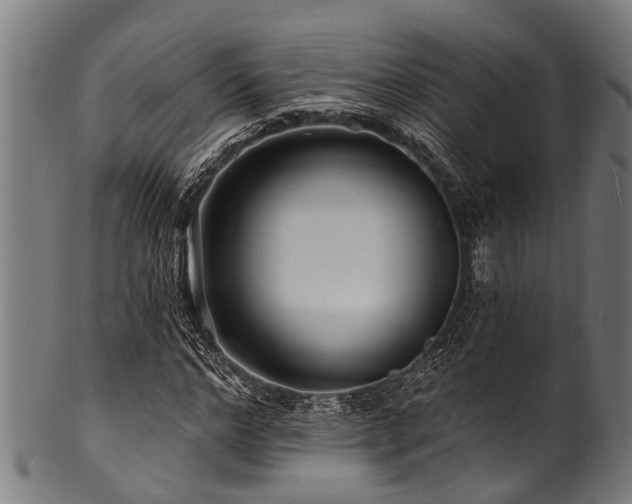 X0000100970968200806241547